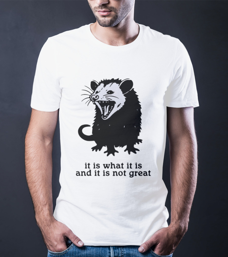 It Is What It Is And It Is Not Great Opossum T-Shirt