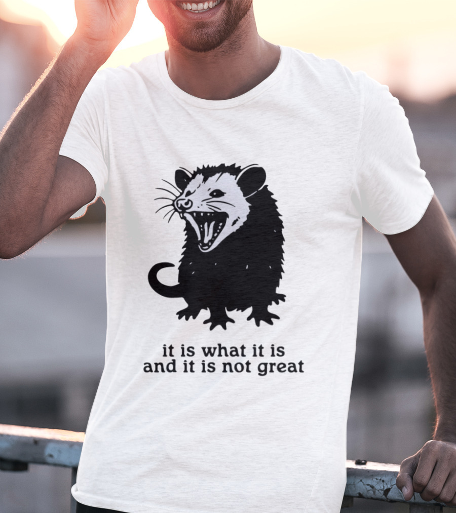 It Is What It Is And It Is Not Great Opossum T-Shirt