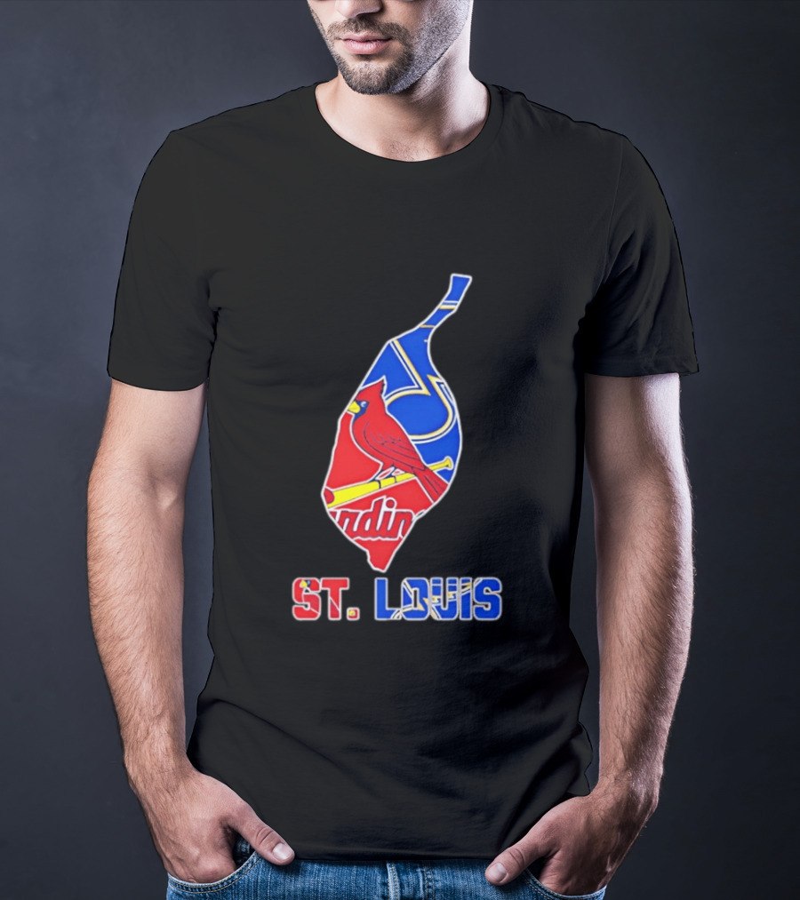 St. Louis Cardinals And Blues Team Spirit T-Shirt