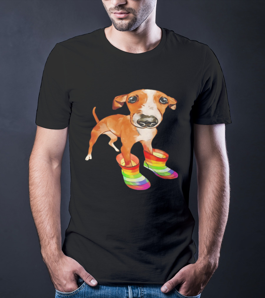 Doggie Rainbow Rainboots Puppy In Colorful Boots T-Shirt