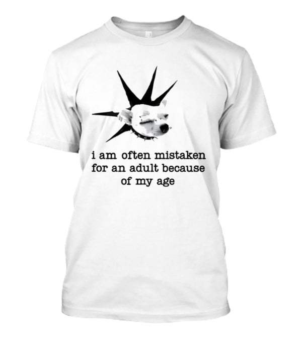 I Am Often Mistaken For An Adult Because Of My Age Statue Liberty T-Shirt