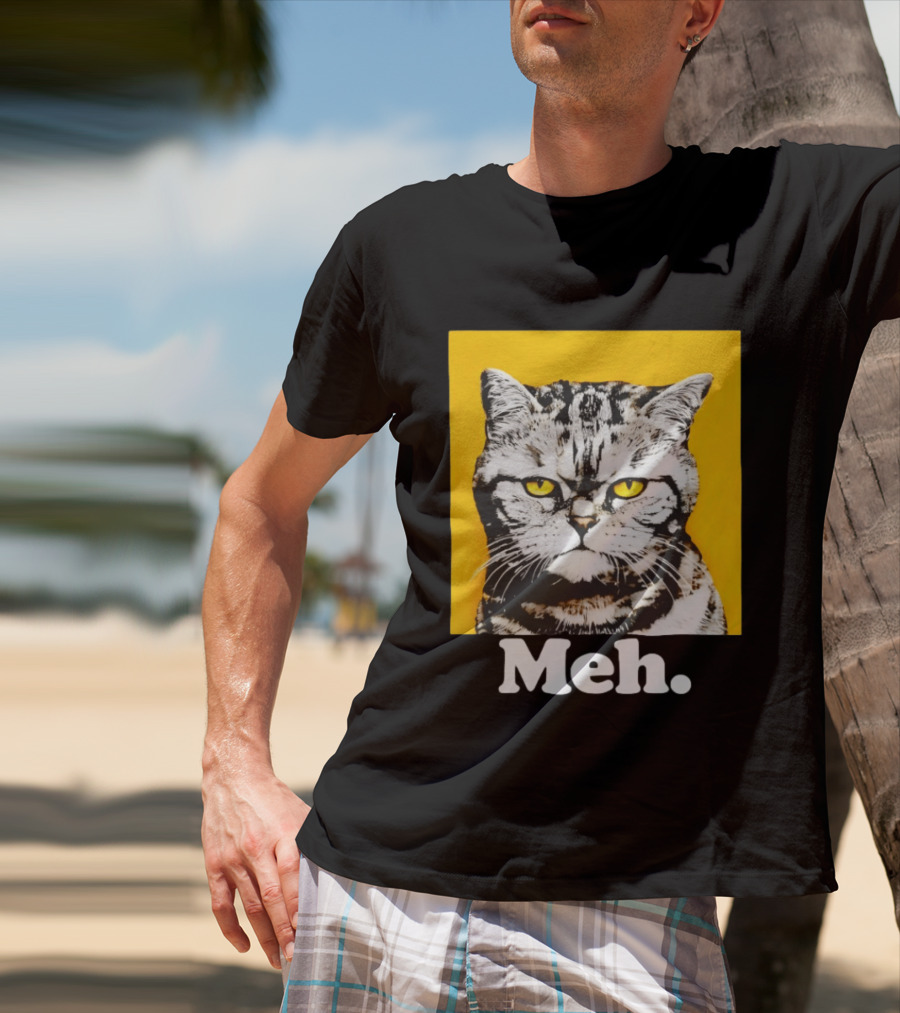 Meh Angry Cat With Yellow Eyes T-Shirt