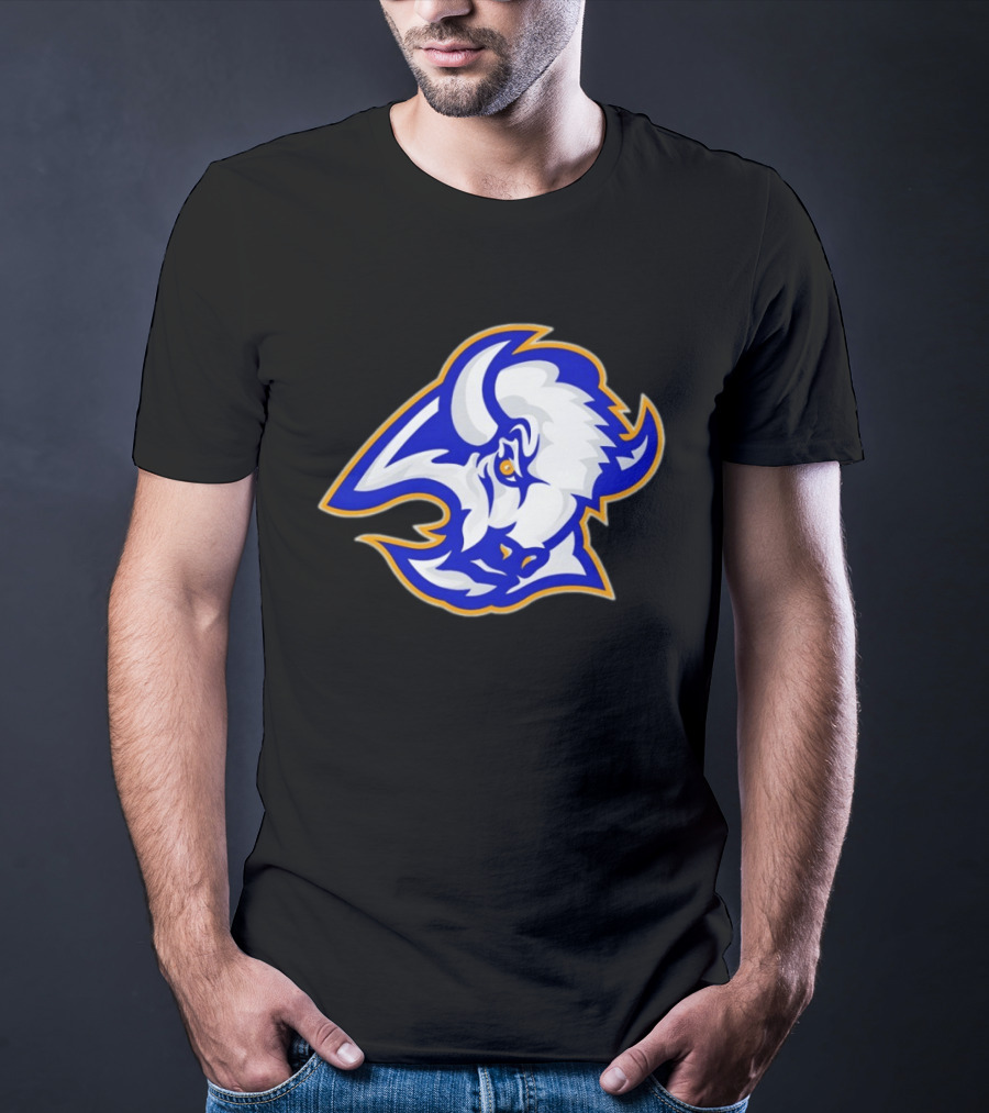 Buffalo Sabres Let's Go 2026 NHL Hockey T-Shirt