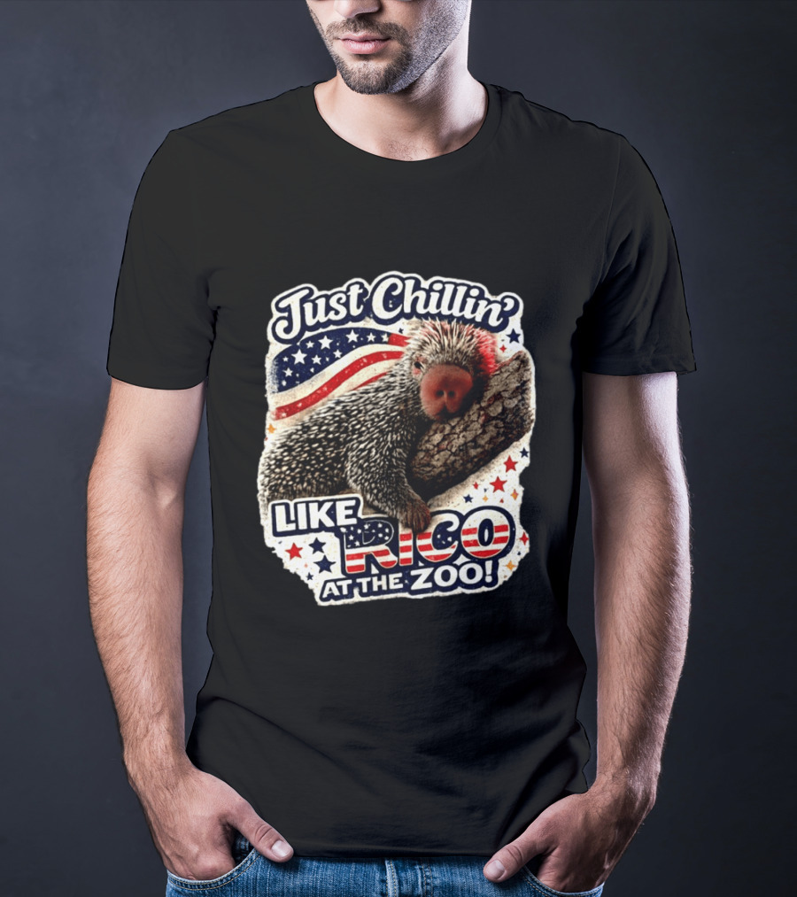 Just Chillin' Like Rico At The Zoo Patriotic Porcupine Vibes T-Shirt