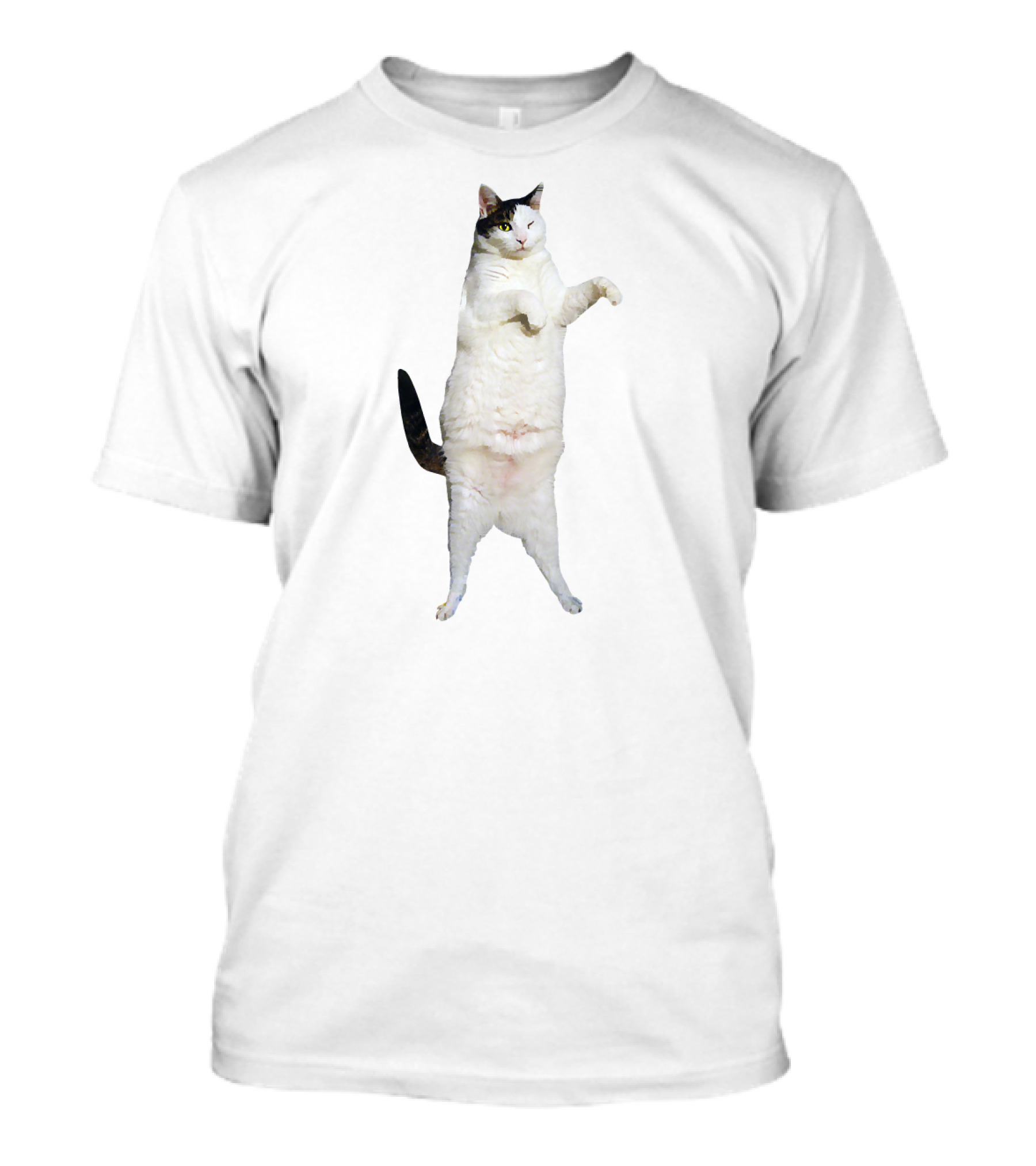 Kitty Cat Dance Meme T-Shirt