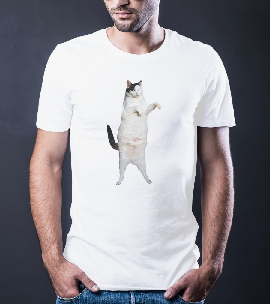 Kitty Cat Dance Meme T-Shirt
