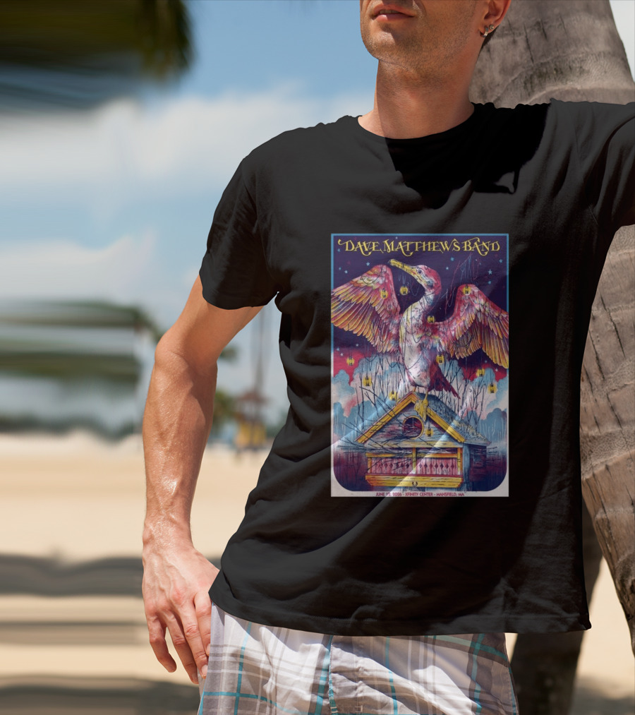 Dave Matthews Band June 19 2026 Xfinity Center Mansfield MA Bird Lanterns T-Shirt