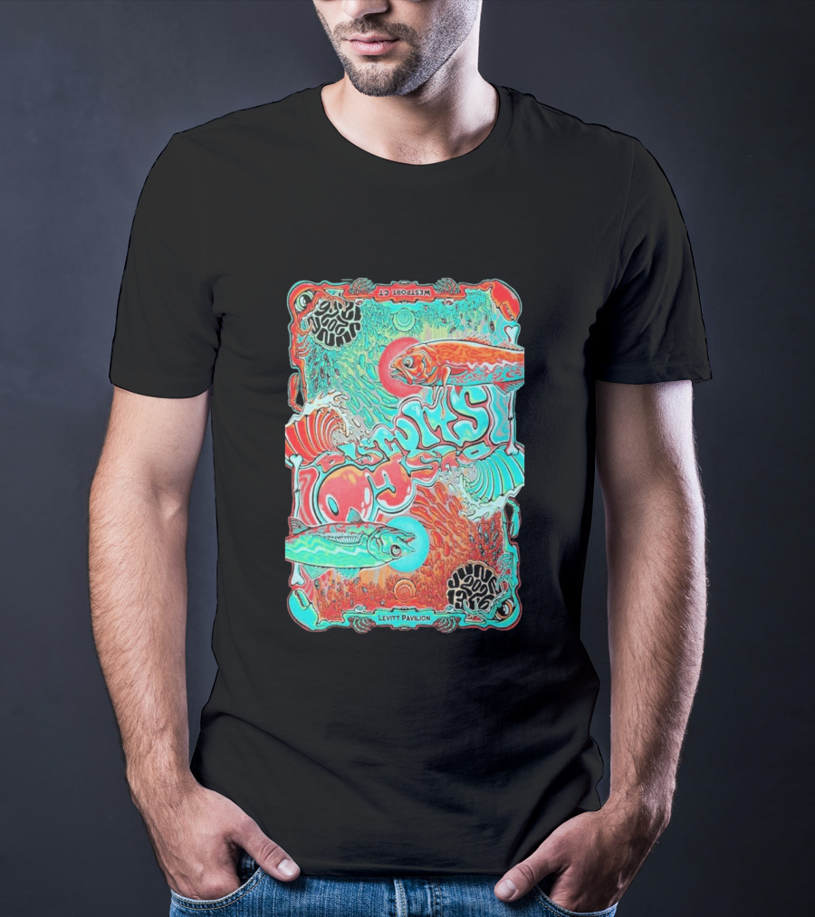 The Disco Biscuits Westport CT June 13 2026 Levitt Pavilion T-Shirt