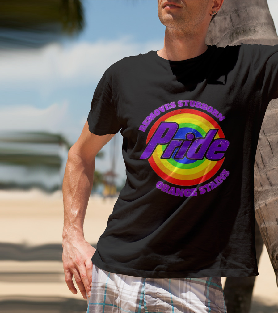 Pride Removes Stubborn Orange Stains Rainbow Circle T-Shirt