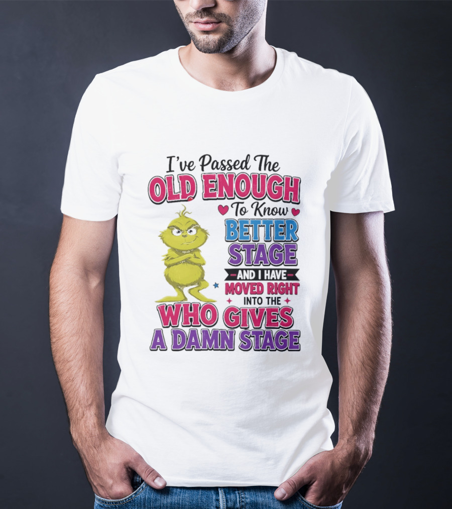 Passed The Old Enough To Know Better Moved Right Into The Who Gives A Damn Stage T-Shirt