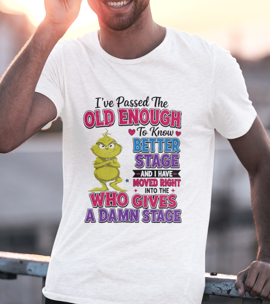 Passed The Old Enough To Know Better Moved Right Into The Who Gives A Damn Stage T-Shirt