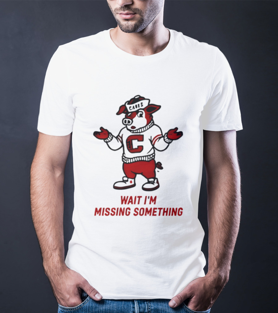 Carolina Hurricanes Wait I'm Missing Something 2026 NHL Hockey C Sweater Pig T-Shirt