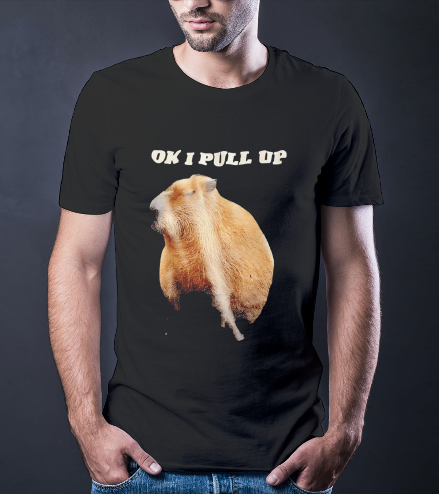 Ok I Pull Up Capybara Meme T-Shirt