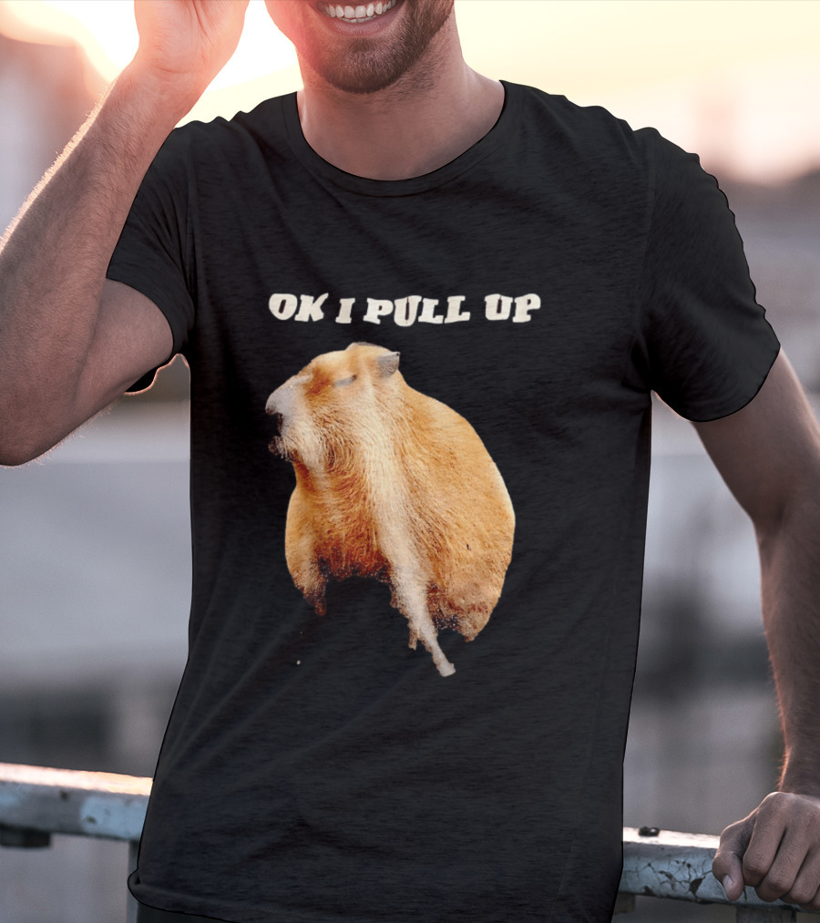 Ok I Pull Up Capybara Meme T-Shirt