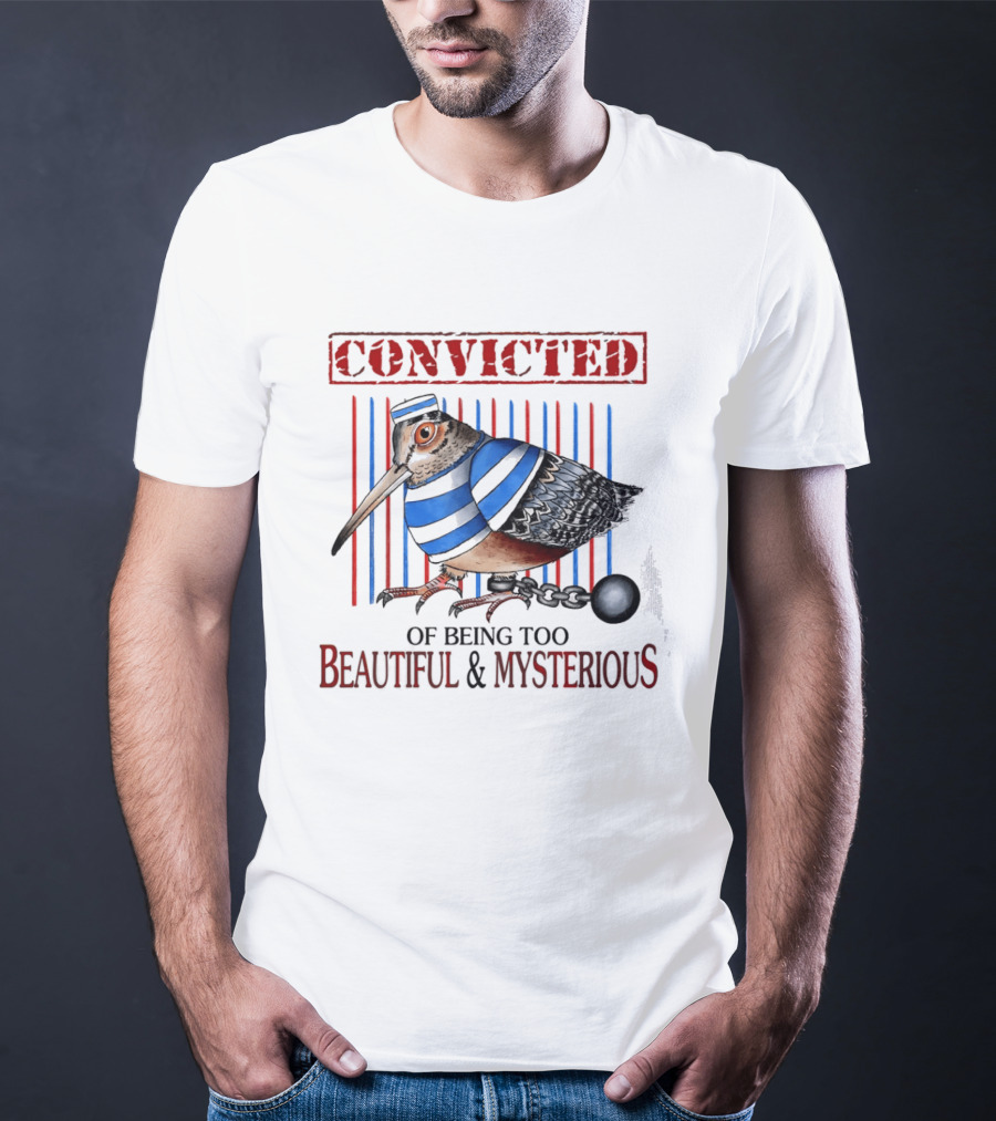 Convicted Of Being Too Beautiful And Mysterious Bird Prisoner Stripes T-Shirt