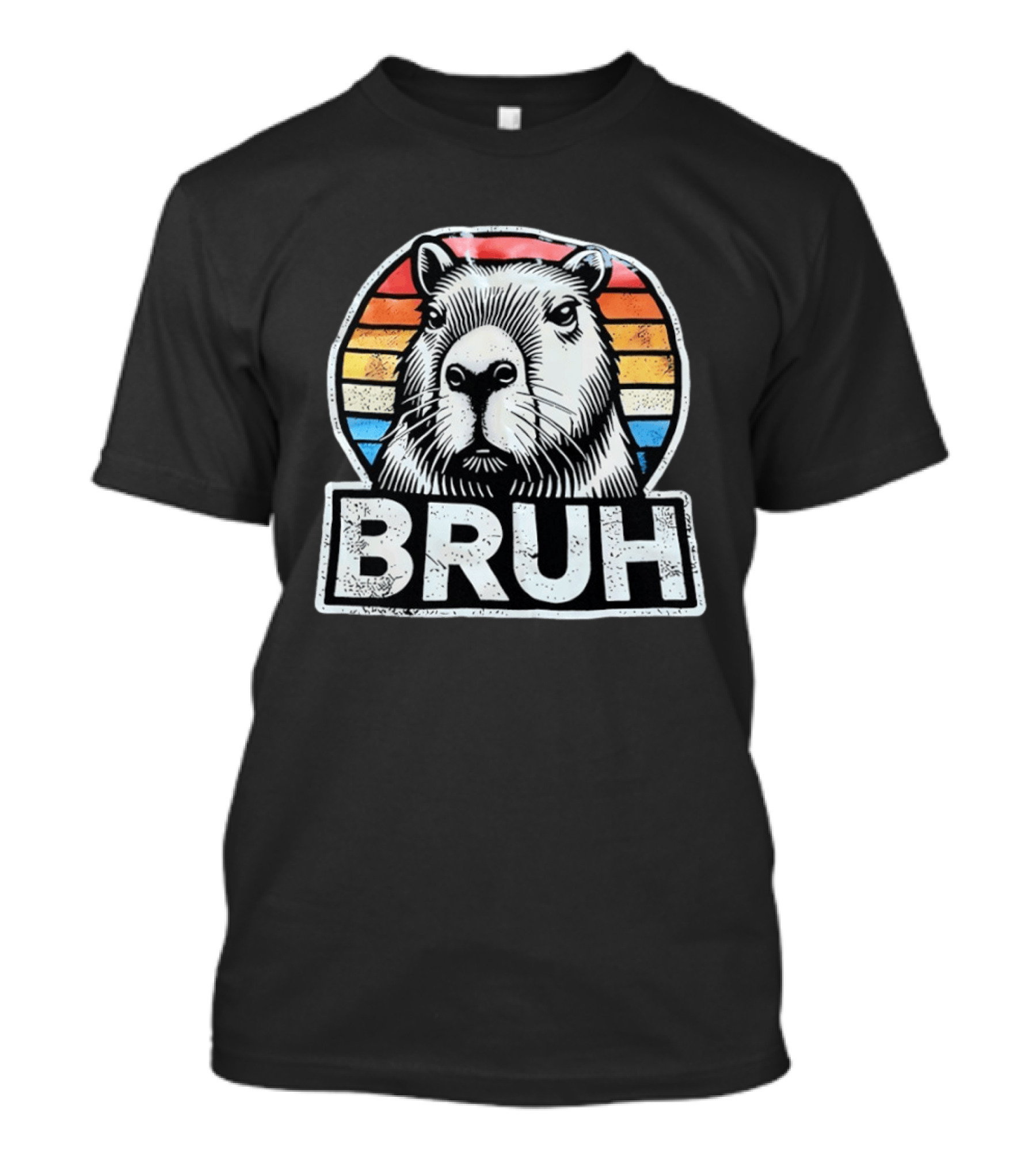 Capybara Bruh Retro Sunset Animal T-Shirt
