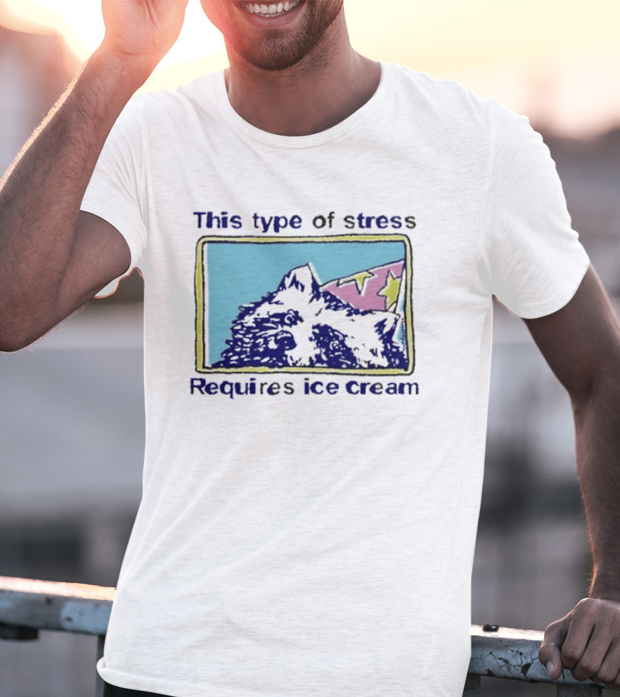 This Type Of Stress Requires Ice Cream Raccoon Meme T-Shirt