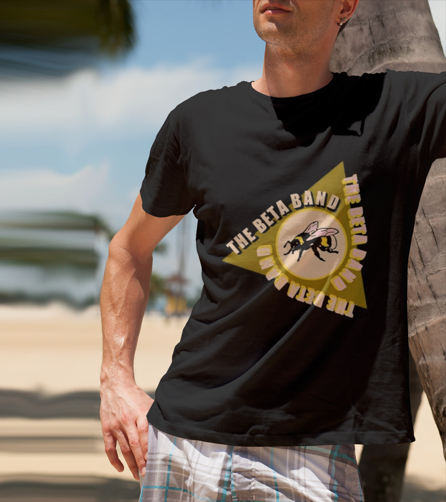 The Beta Band Triangle Honeybee Session T-Shirt