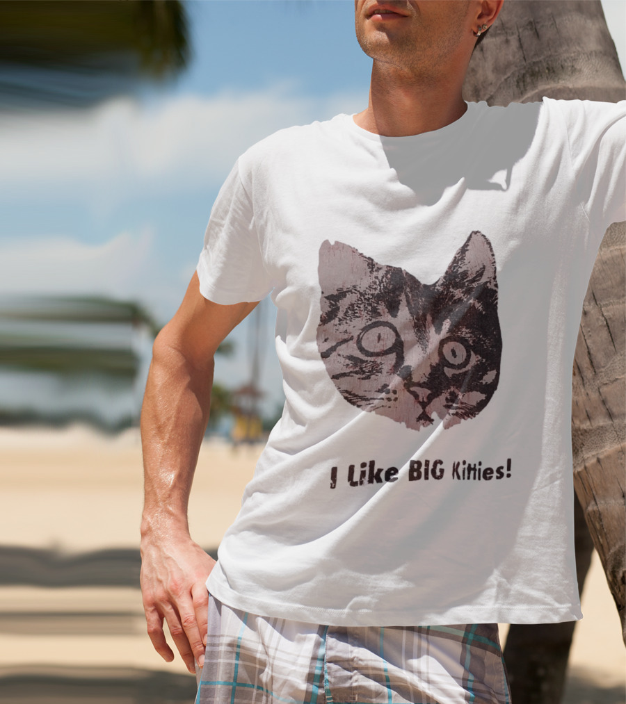 I Like Big Kitties Cat Lover Feline Enthusiast Funny Display T-Shirt