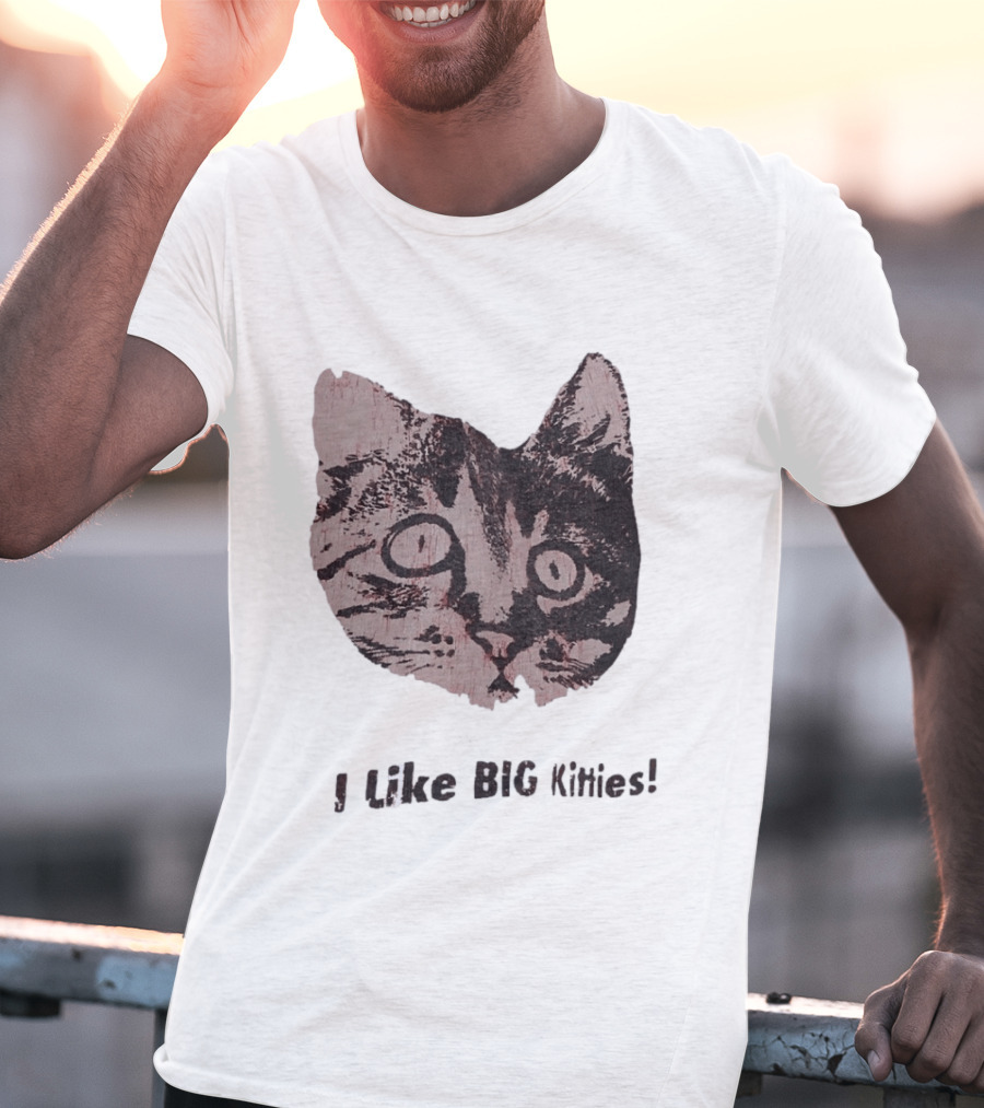 I Like Big Kitties Cat Lover Feline Enthusiast Funny Display T-Shirt