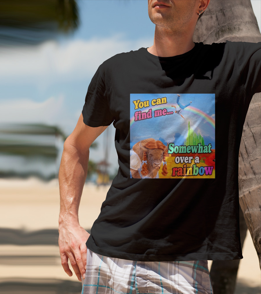 You Can Find Me Somewhat Over A Rainbow Bison Meme T-Shirt