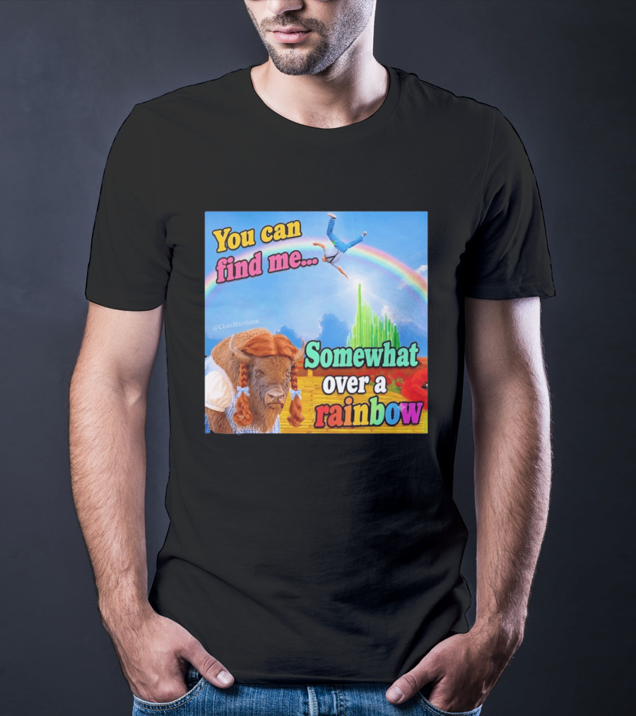 You Can Find Me Somewhat Over A Rainbow Bison Meme T-Shirt