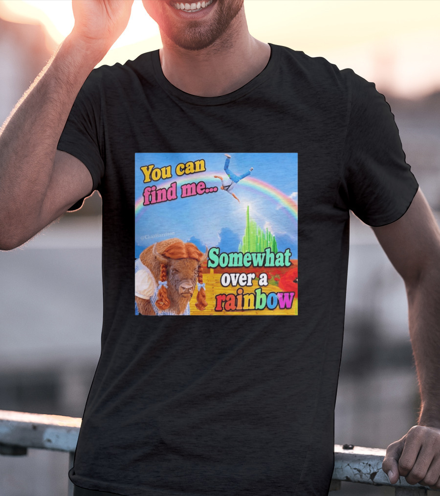 You Can Find Me Somewhat Over A Rainbow Bison Meme T-Shirt
