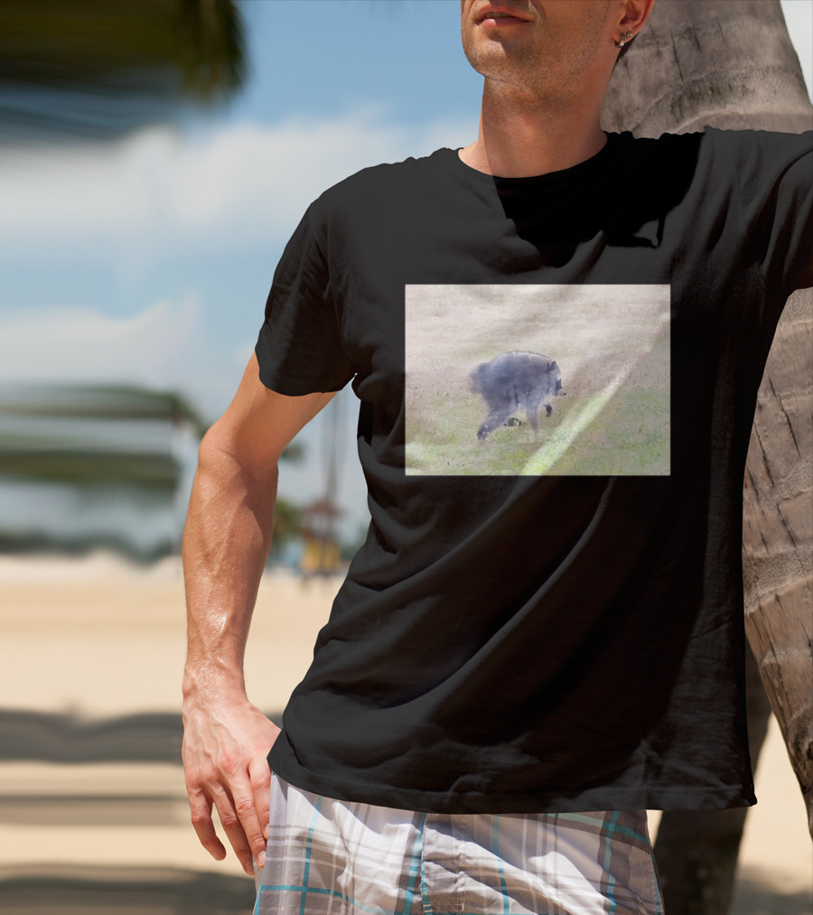 Jimothy Raccoon Walking In Grassy Field Wildlife Scene T-Shirt
