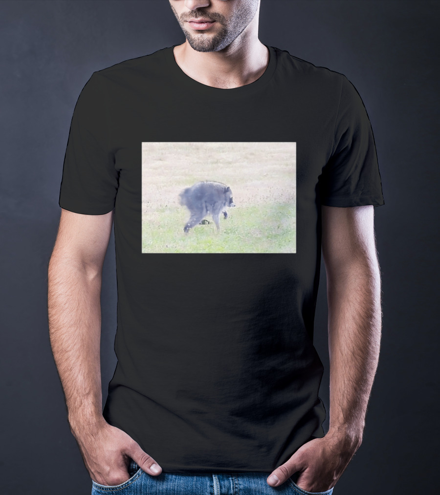 Jimothy Raccoon Walking In Grassy Field Wildlife Scene T-Shirt