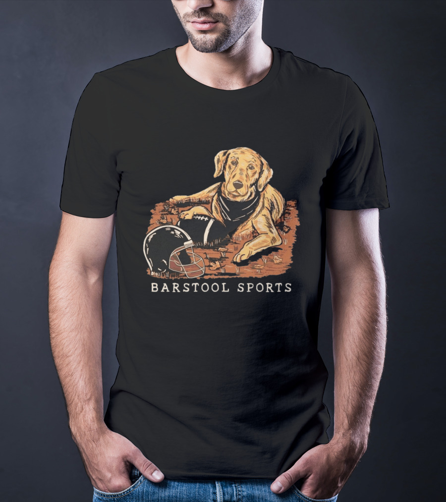 Barstool Sports Fall Football Dog With Helmet And Leaves T-Shirt