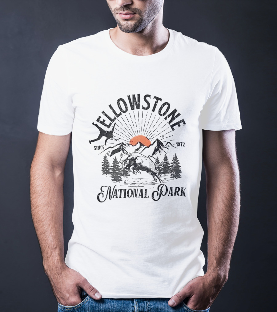 Yellowstone National Park Bison Accident Since 1872 T-Shirt