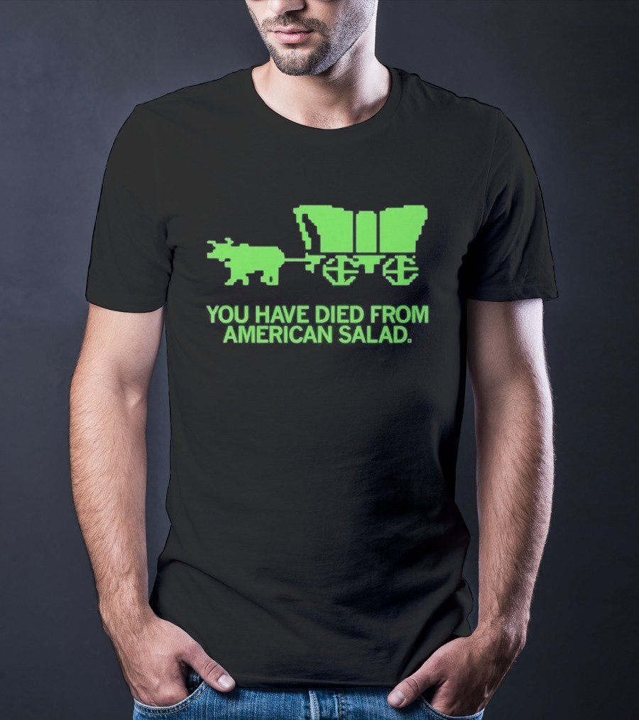 You Have Died From American Salad Ox Cart Retro Gaming Spoof T-Shirt