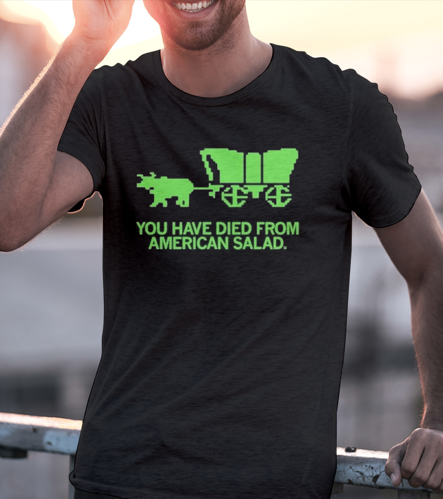 You Have Died From American Salad Ox Cart Retro Gaming Spoof T-Shirt