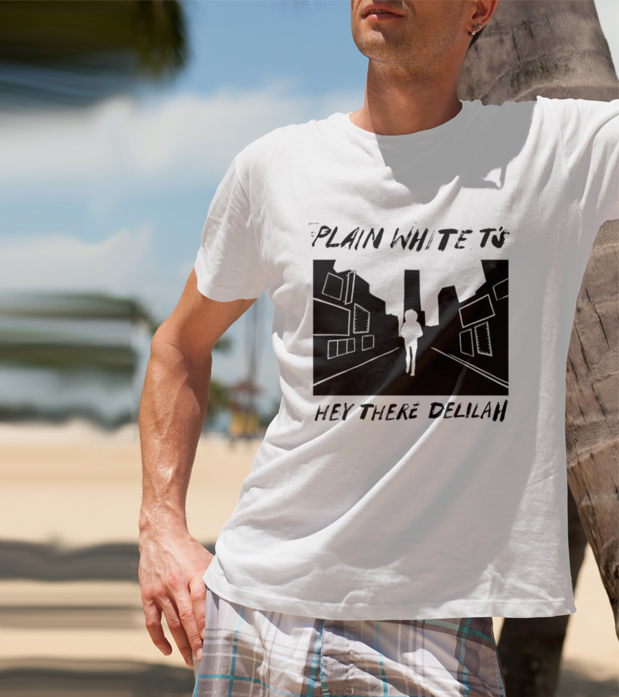 Plain White T's Hey There Delilah City T-Shirt