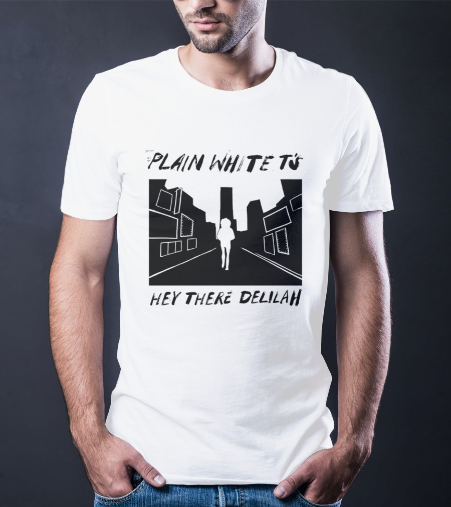Plain White T's Hey There Delilah City T-Shirt