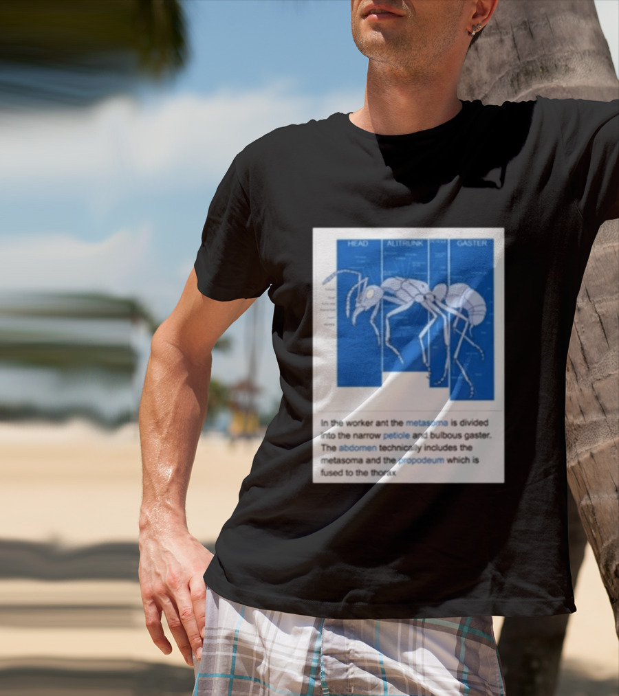 Head Alitrunk Gaster Metasoma Petiole Anatomy Of An Ant T-Shirt