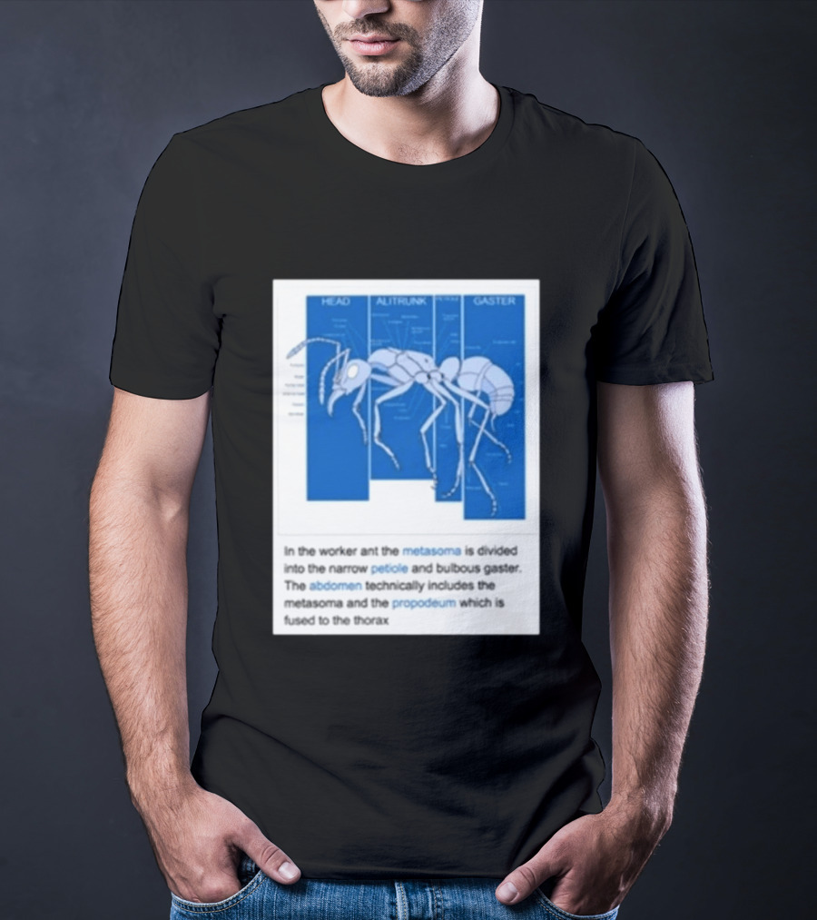 Head Alitrunk Gaster Metasoma Petiole Anatomy Of An Ant T-Shirt