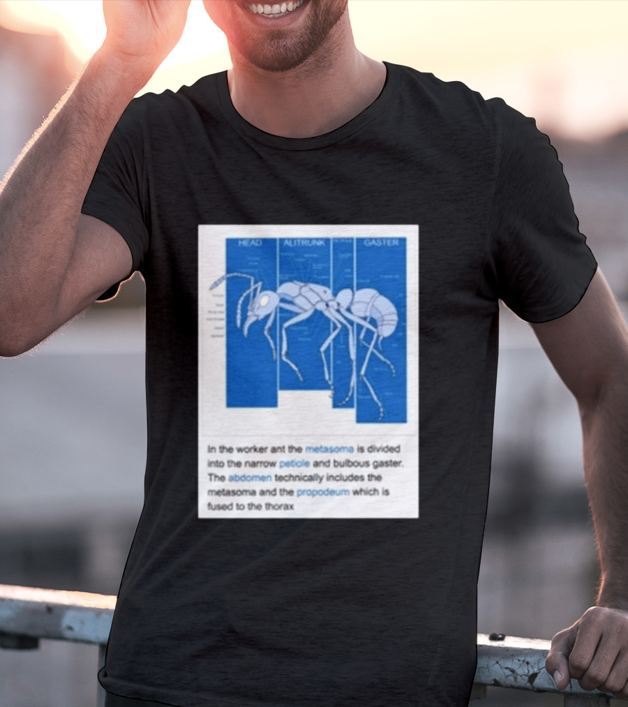 Head Alitrunk Gaster Metasoma Petiole Anatomy Of An Ant T-Shirt