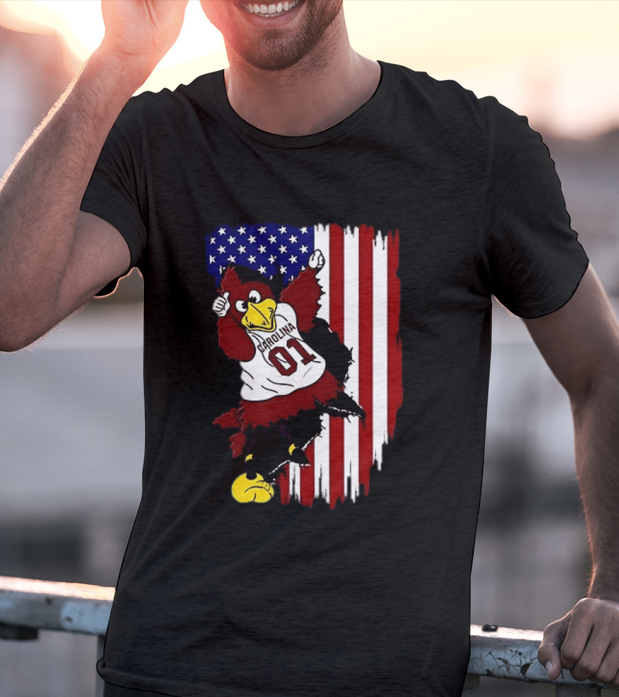 South Carolina Gamecocks Carolina 01 USA Flag We The People T-Shirt