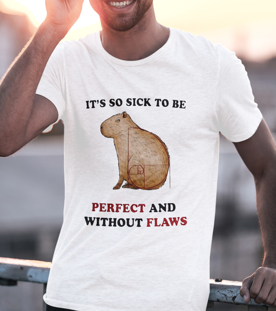 Capybara It's So Sick To Be Perfect And Without Flaws Fibonacci Spiral T-Shirt