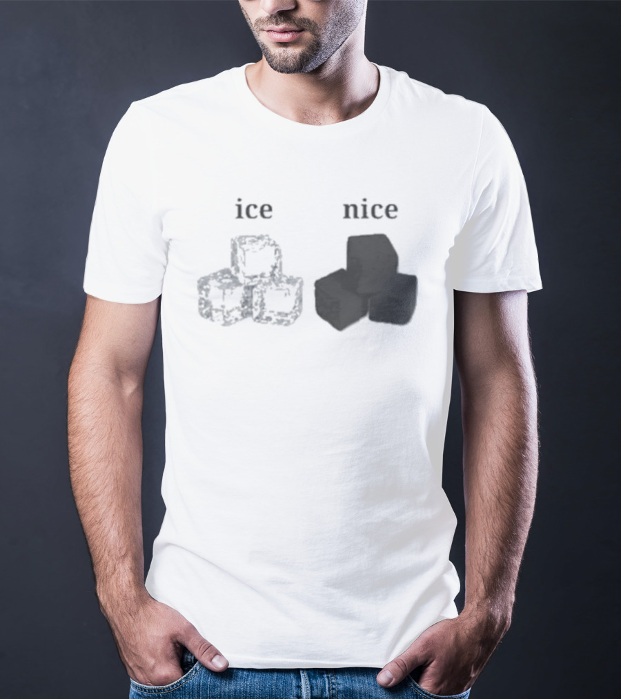 Ice Vs Nice Cubes Playful Word T-Shirt