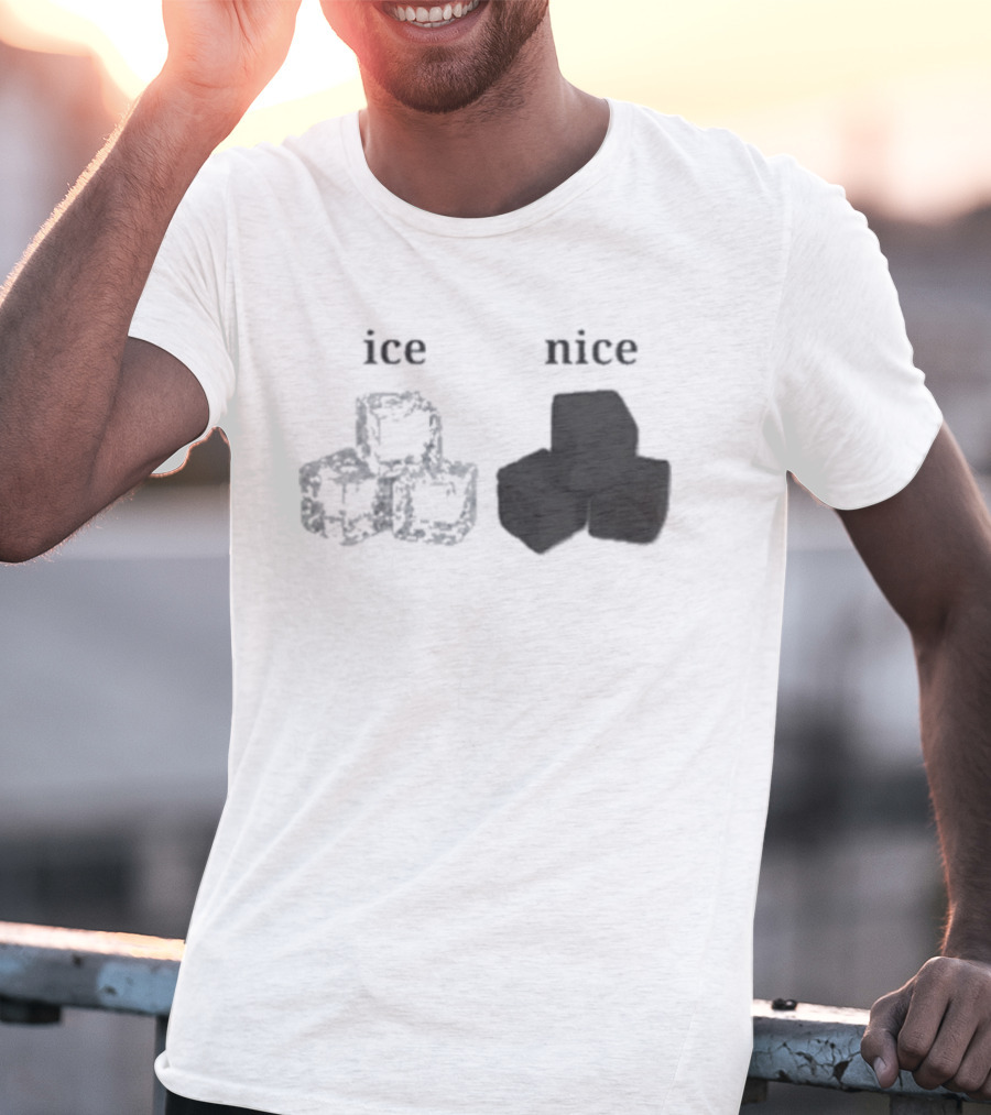 Ice Vs Nice Cubes Playful Word T-Shirt