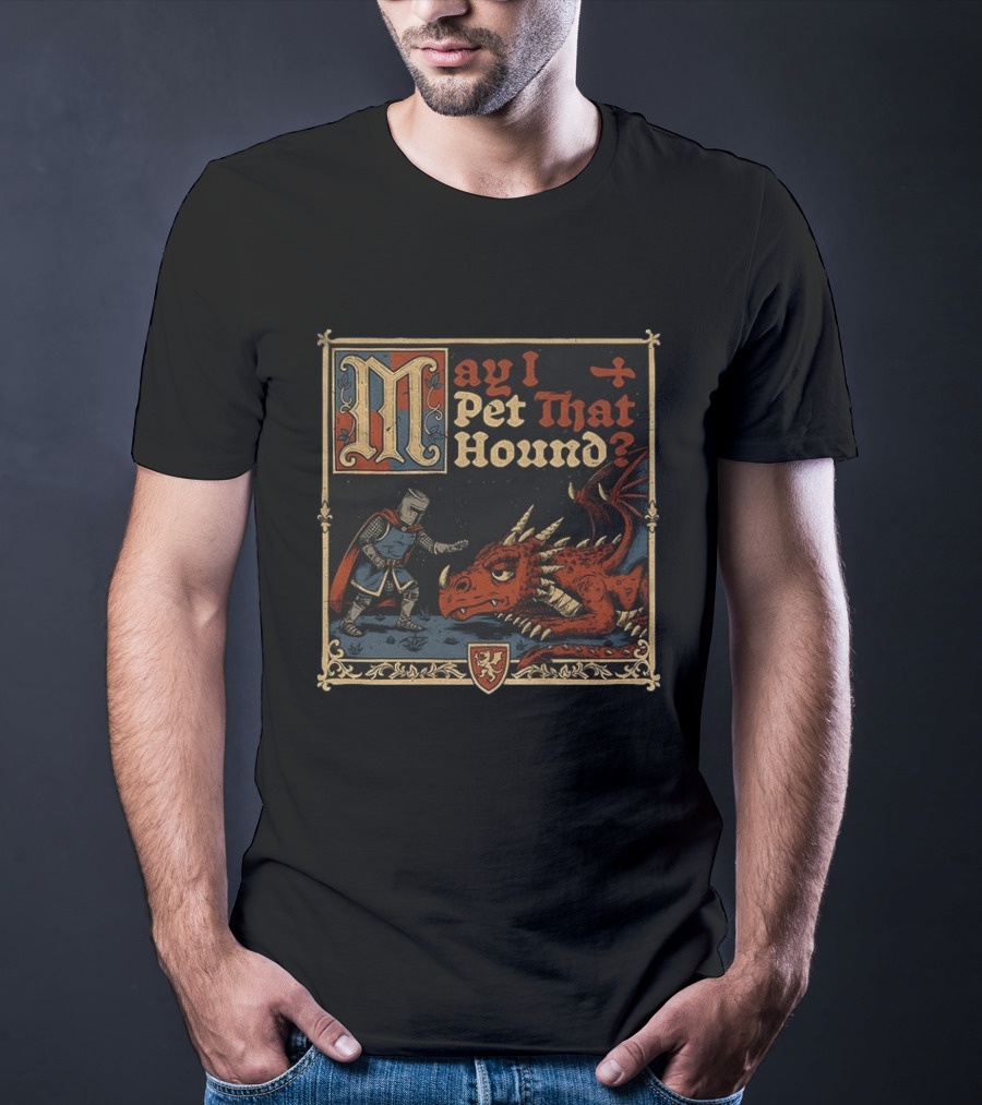 May I Pet That Hound Medieval Knight And Dragon Meme T-Shirt