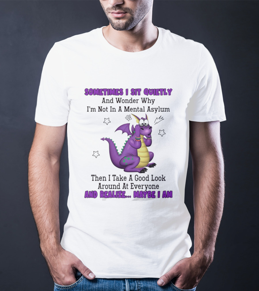 Sometimes I Sit Quietly Wonder Why I'm Not In A Mental Asylum Dragon Realize Maybe I Am T-Shirt