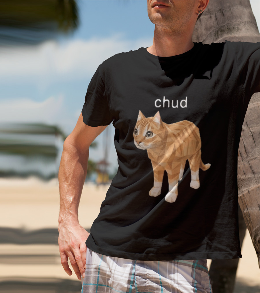 Chud Low Poly Geometric Orange Tabby Cat T-Shirt