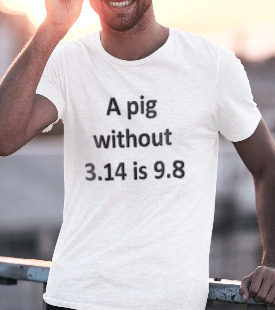 A Pig Without 3.14 Is 9.8 Black Minimalist Clever Play On Words T-Shirt