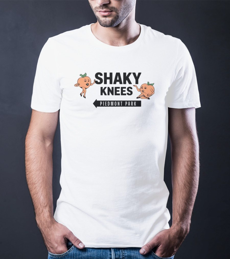 Shaky Knees Festival Piedmont Park Peaches Crop Raglan Women's Lineup T-Shirt