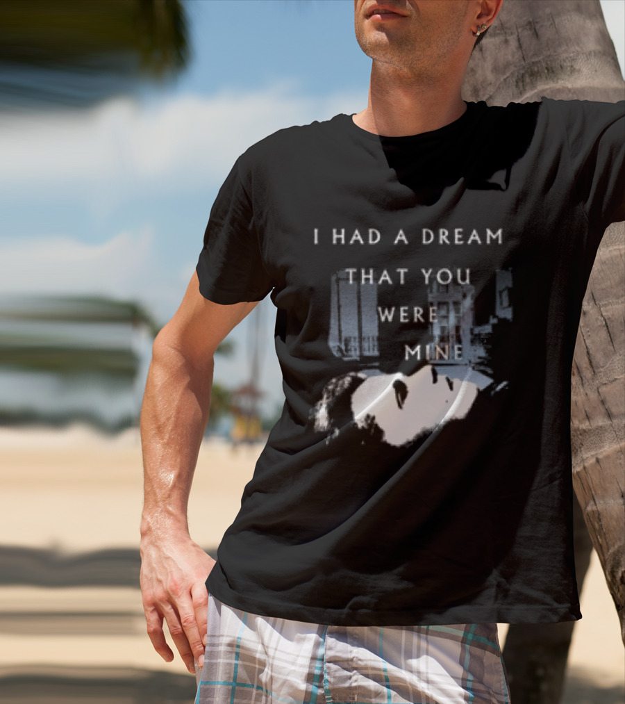 Hamilton Leithauser Rostam I Had A Dream That You Were Mine Album Cover T-Shirt