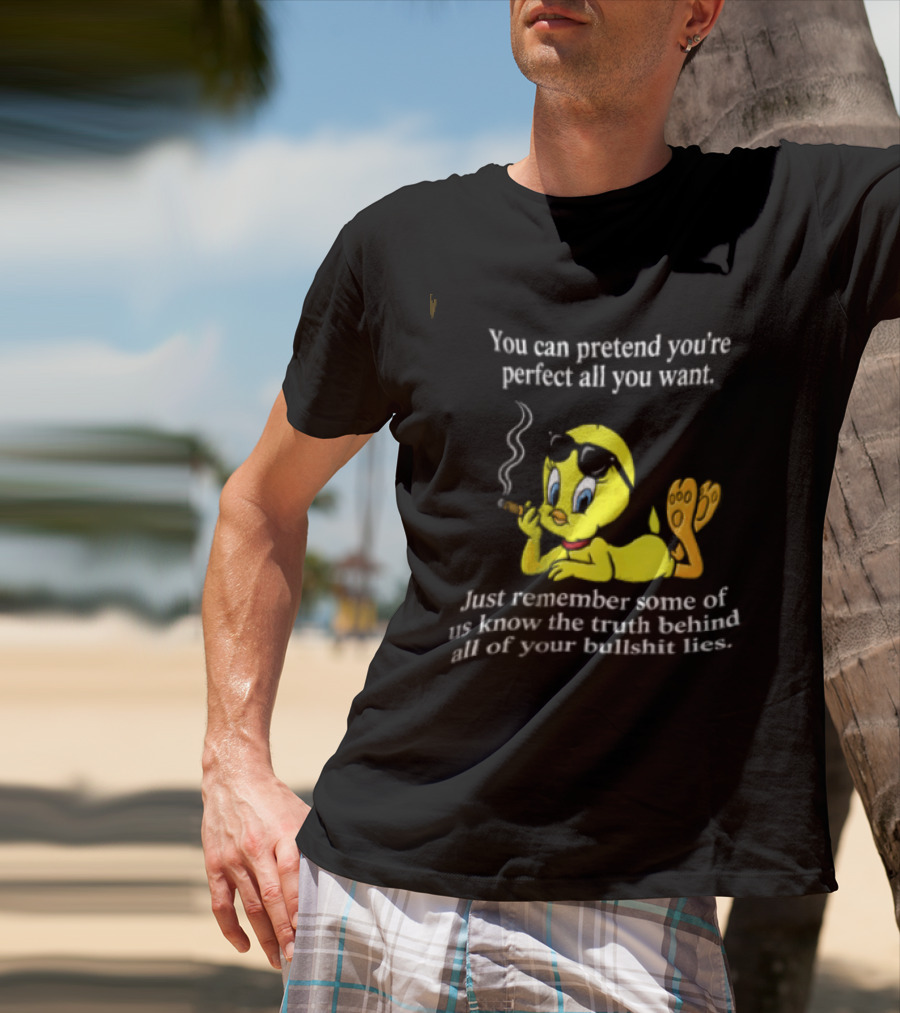 You Can Pretend Youre Perfect All You Want Just Remember Some Of Us Know The Truth Behind All Of Your Bullshit Lies Tweety Bird Smoking T-Shirt