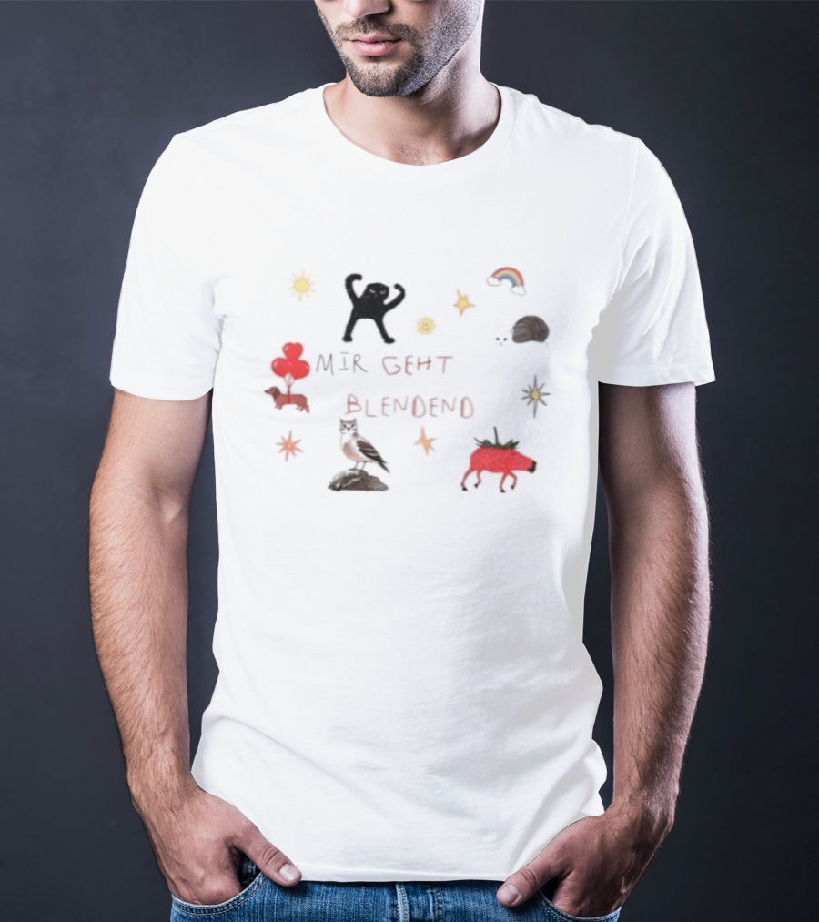 Mir Geht Es Blendend Cat Snail Strawberry Pig With Rainbow And Sun Doodles T-Shirt